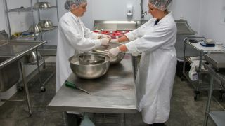 Élelmiszeripari és feldolgozó üzemek fejlesztésének támogatása 77